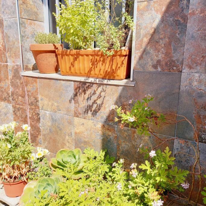 Rias Bajas Apartamento Con Jardin Apartment Villanueva De Arosa Exterior foto